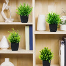 Plantas verdes artificiais, paisagismo residencial, jardins externos, decoração de escritórios, decoração de aniversários, casamentos e festas.